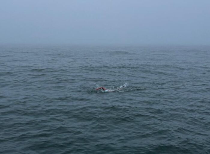 Amy Appelhans Gubser Completed A 17-Hour Swimming Journey Through Cold, Shark-Inhabited Waters