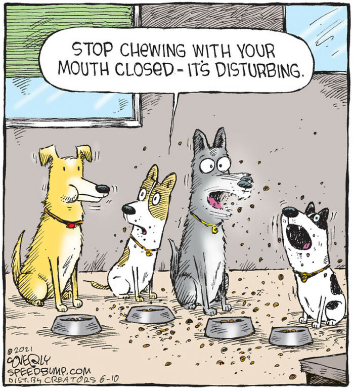 Comic from Dave Coverly’s Speed Bump showing dogs humorously interacting during mealtime.