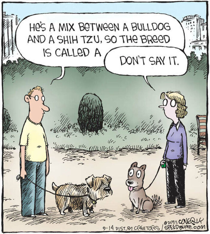 Dave Coverly's 'Speed Bump': A Delightful Dive Into The World Of Dogs (43 Pics)