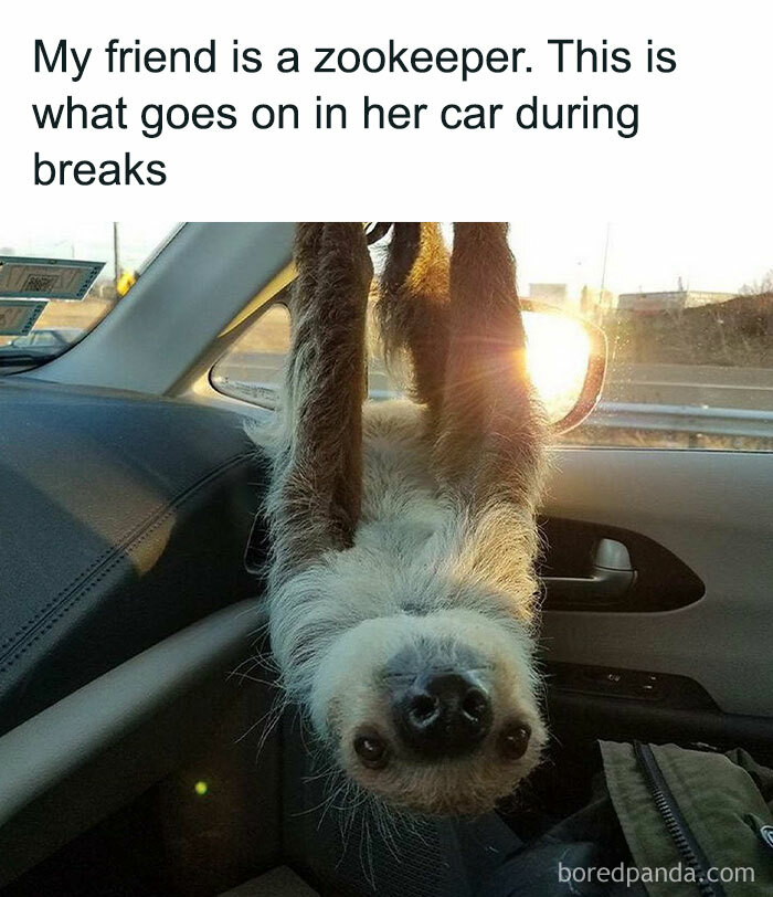 Heartwarming-Wholesome-Meets-The-Internet-Posts