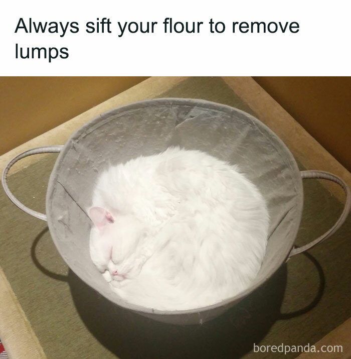 Heartwarming-Wholesome-Meets-The-Internet-Posts