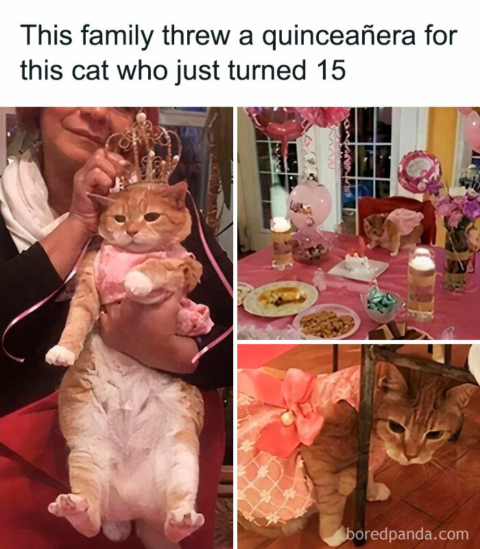 Heartwarming-Wholesome-Meets-The-Internet-Posts