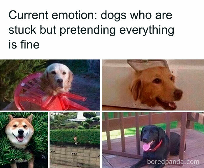 Heartwarming-Wholesome-Meets-The-Internet-Posts