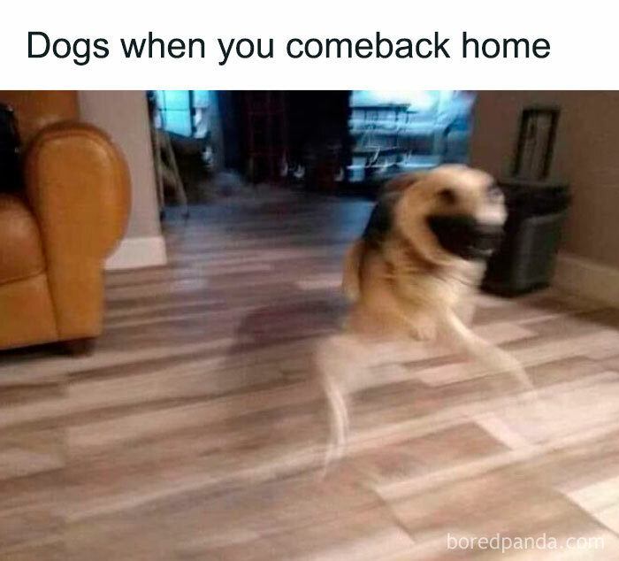 Heartwarming-Wholesome-Meets-The-Internet-Posts