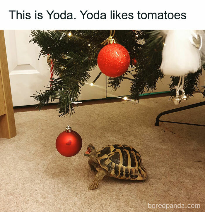 Heartwarming-Wholesome-Meets-The-Internet-Posts