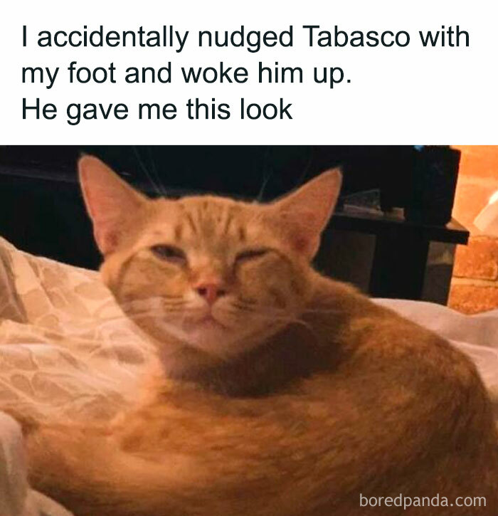 Heartwarming-Wholesome-Meets-The-Internet-Posts