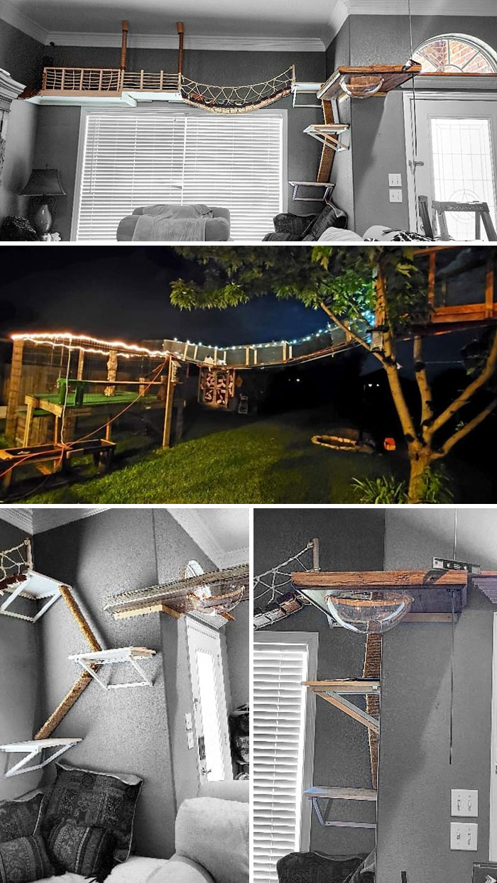 Cat-Friendly-Environments-Catification