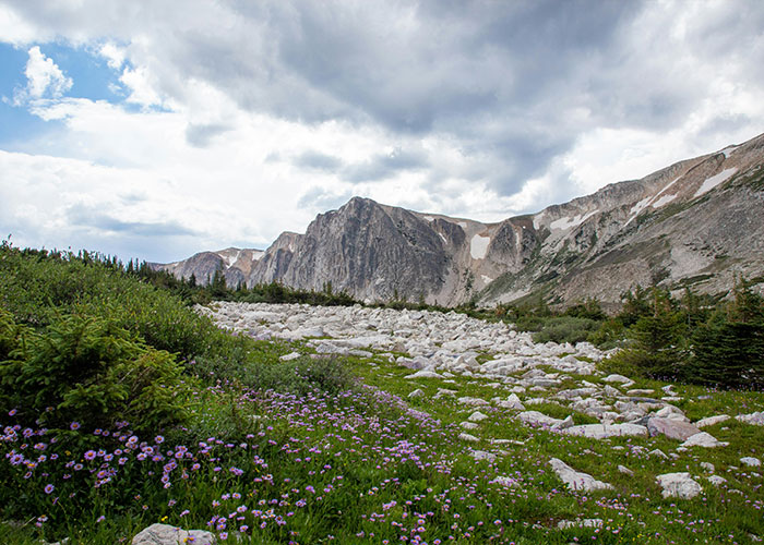 30 Folks Share The Easiest And Most Fun Jobs They Had