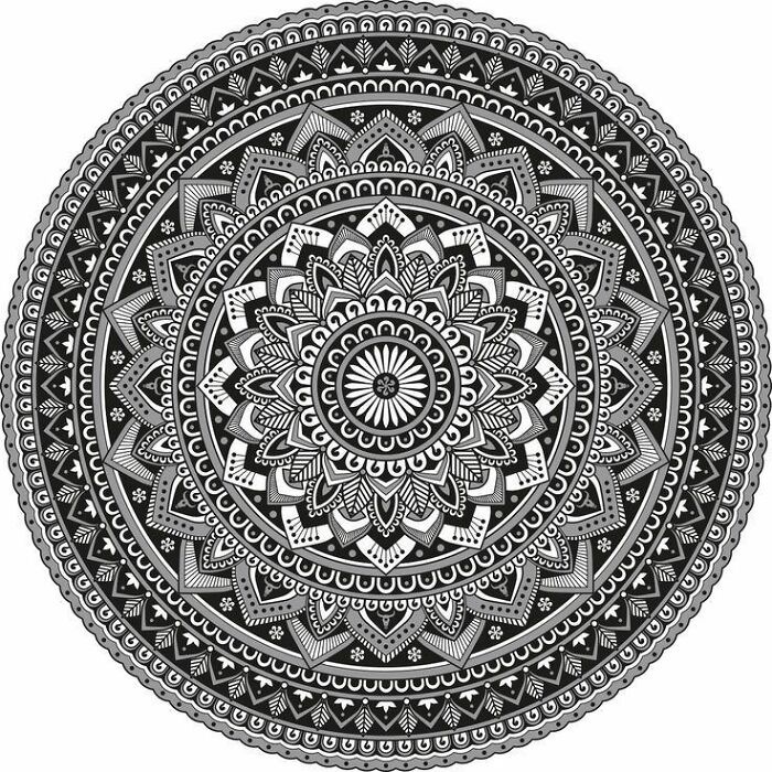 Gallery From The Snipes Era