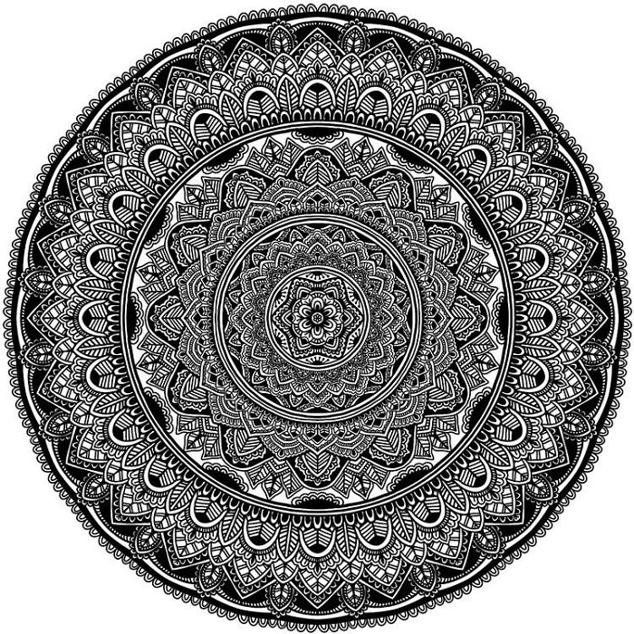 Gallery From The Snipes Era