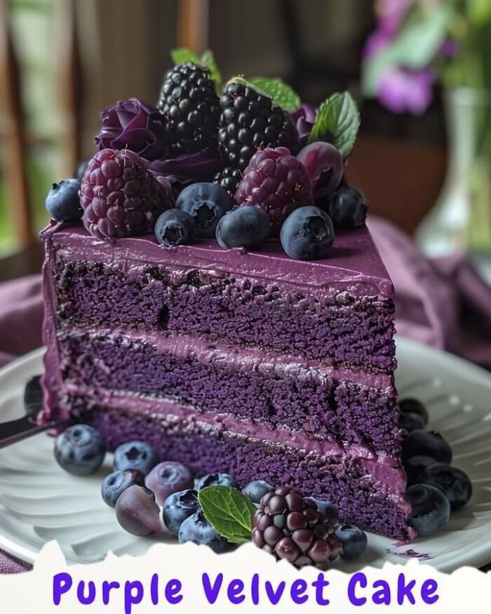 Gallery From The Snipes Era