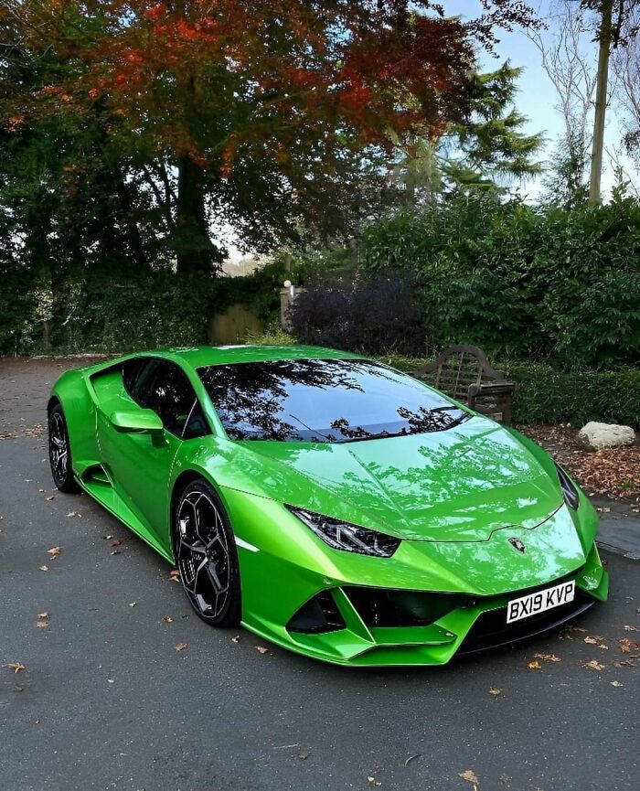 Gallery From The Snipes Era