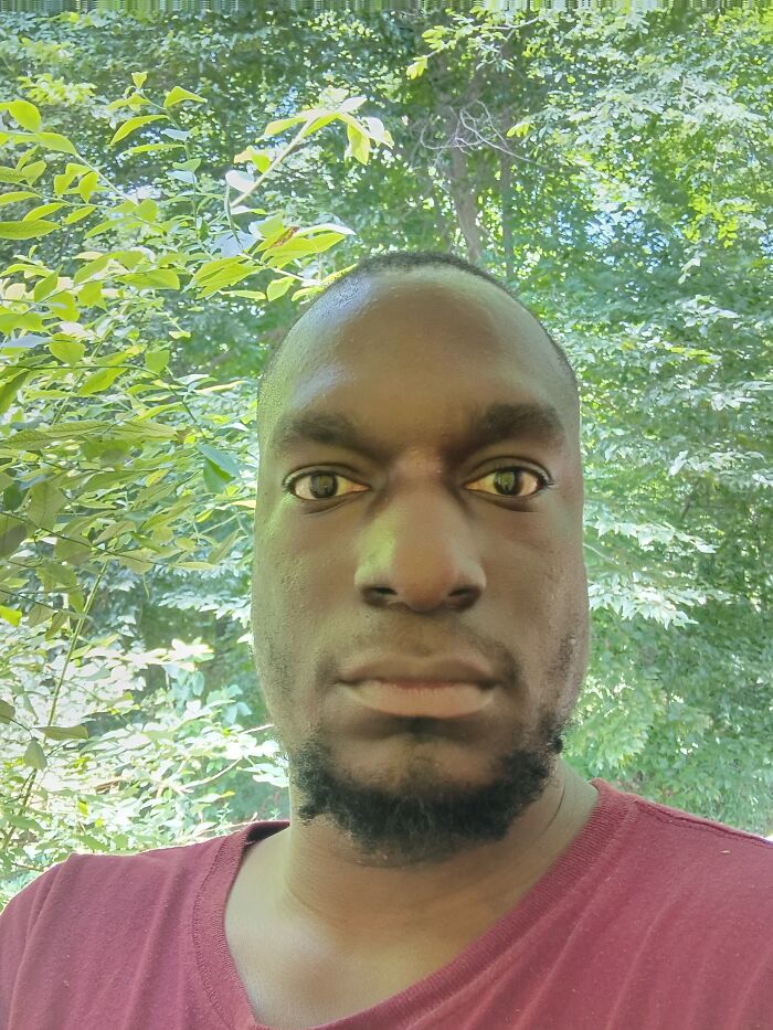 Gallery From The Snipes Era