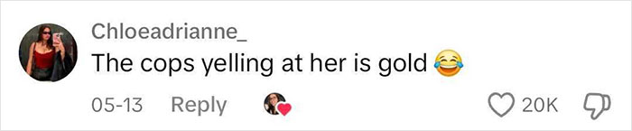 &ldquo;Don&rsquo;t Bring Your Baby To A Restaurant&rdquo;: Woman Arrested After Melting Down On Mom