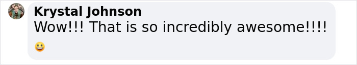 Analysis Of Martian Meteorites, The Only Physical Materials From Mars, Is Revealed Analysis Of Martian Meteorites, The Only Physical Materials From Mars, Is Revealed