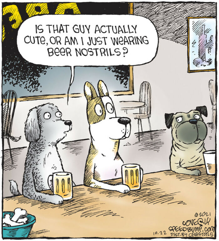 Three dogs sitting at a bar drinking beer with one dog humorously questioning if another is cute in a Speed Bump comic.