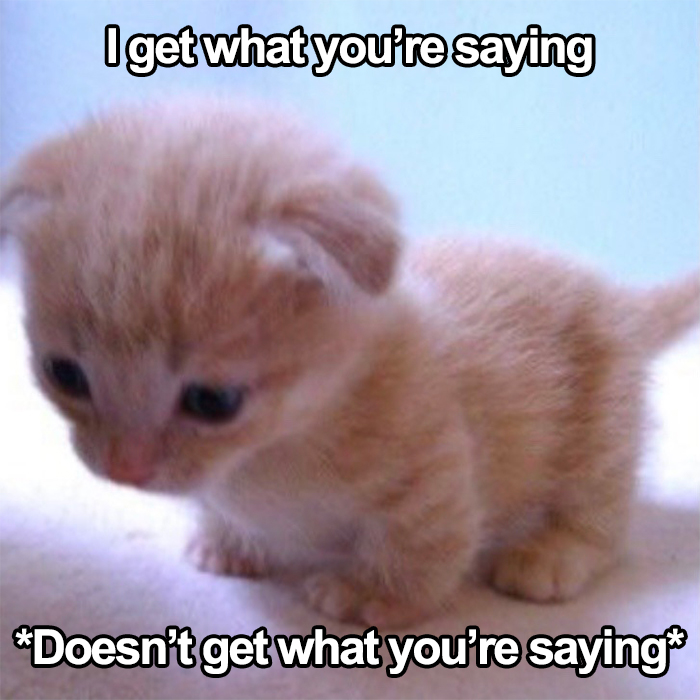 Internet-Cat-Pictures