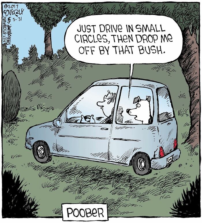 Dave Coverly's 'Speed Bump': A Delightful Dive Into The World Of Dogs (43 Pics)