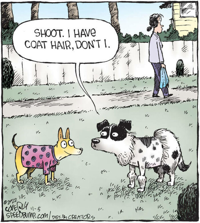 Dave Coverly's 'Speed Bump': A Delightful Dive Into The World Of Dogs (43 Pics)