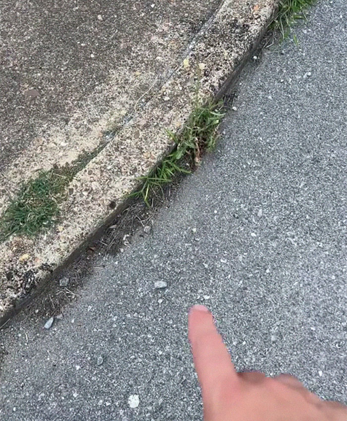 "Give Me Walkable Cities": Guy Shares How Messed Up American Cities Are