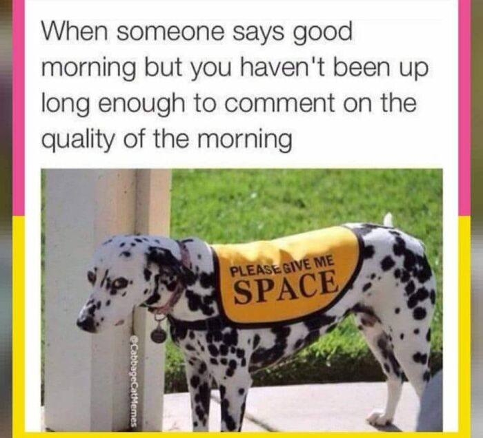 Hilarious-Dog-Memes