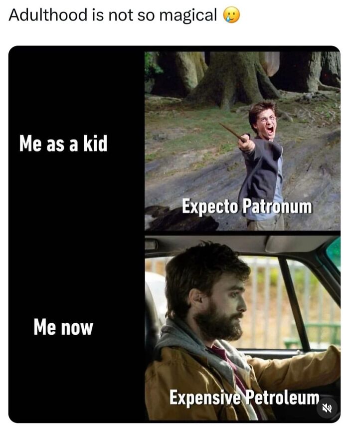 Adult vs childhood contrast in meme with Expecto Patronum and Expensive Petroleum joke, bringing humor to your day.