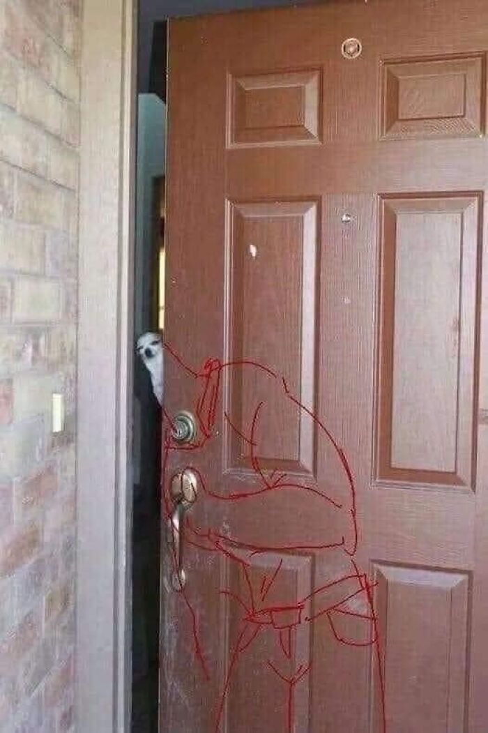 Hilarious-Random-Memes