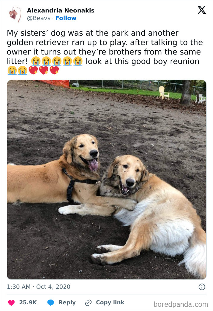 Heartwarming-Wholesome-Meets-The-Internet-Posts