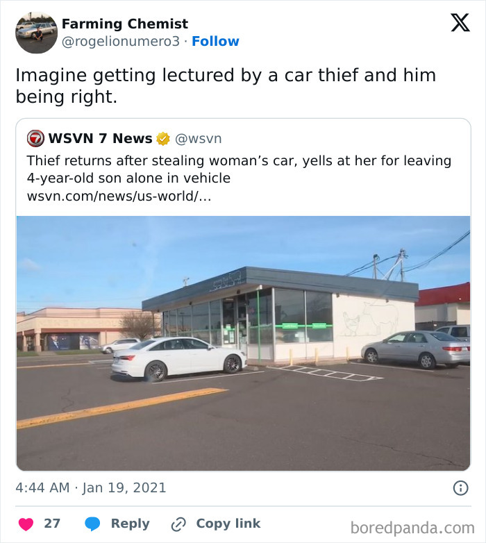 Car Thief vs. Negligent Mum