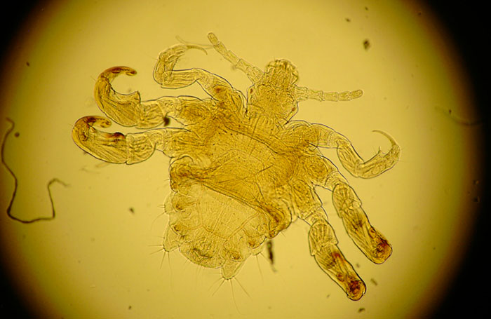 From Funny To Horrifying, 40 IT Professionals Share Their Wildest Jobs