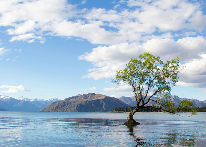 30 People Share What Happened To Their High School’s “Most Likely To Succeed” Student