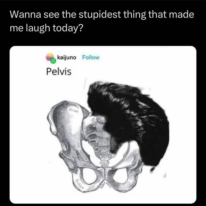 Funny-Parent-Jokes-Puns