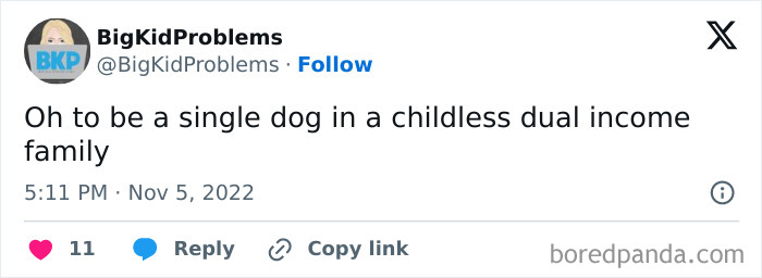 Tweet humorously discussing relatable dual income, childless lifestyle.