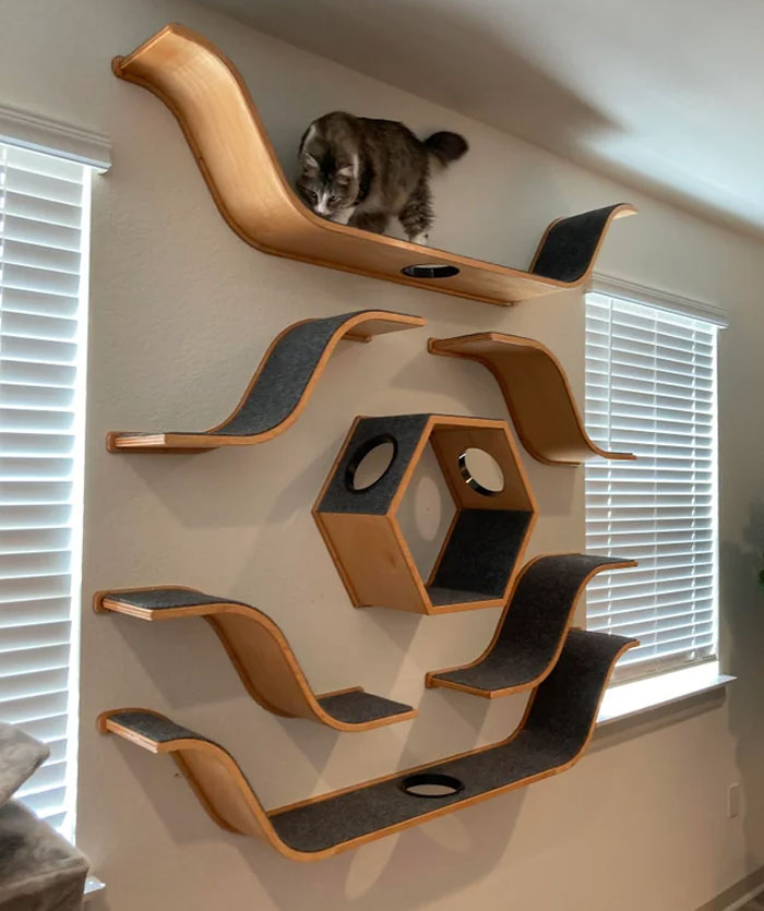 Custom Hand Made Catscape / Catwall By Happy Happy James