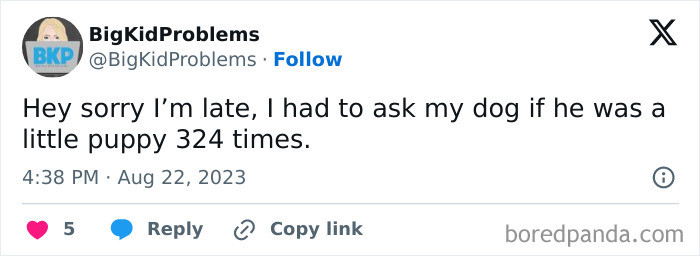 Relatable meme about being late because of asking a puppy question repeatedly.