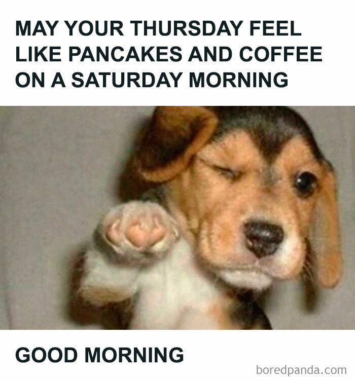 Winking puppy with paw up, captioned about Thursday feeling like a Saturday morning.
