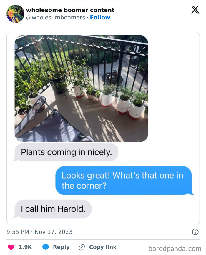 Wholesome-Boomer-Internet-Content