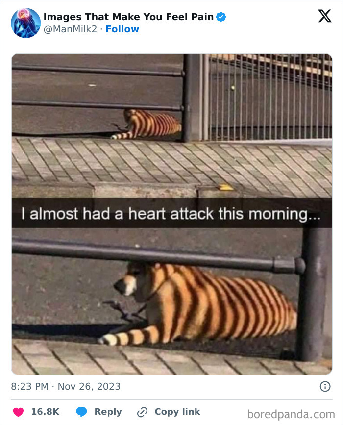 Make-You-Feel-Pain-Images