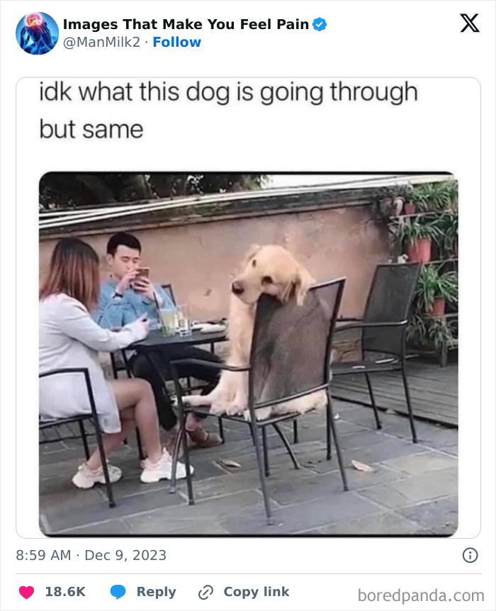 Make-You-Feel-Pain-Images