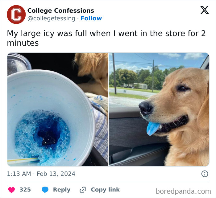 Heartwarming-Wholesome-Meets-The-Internet-Posts