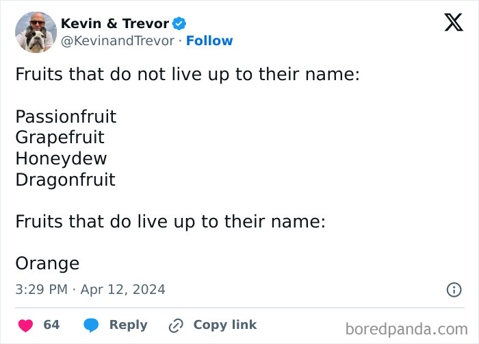 Funny-Parent-Jokes-Puns