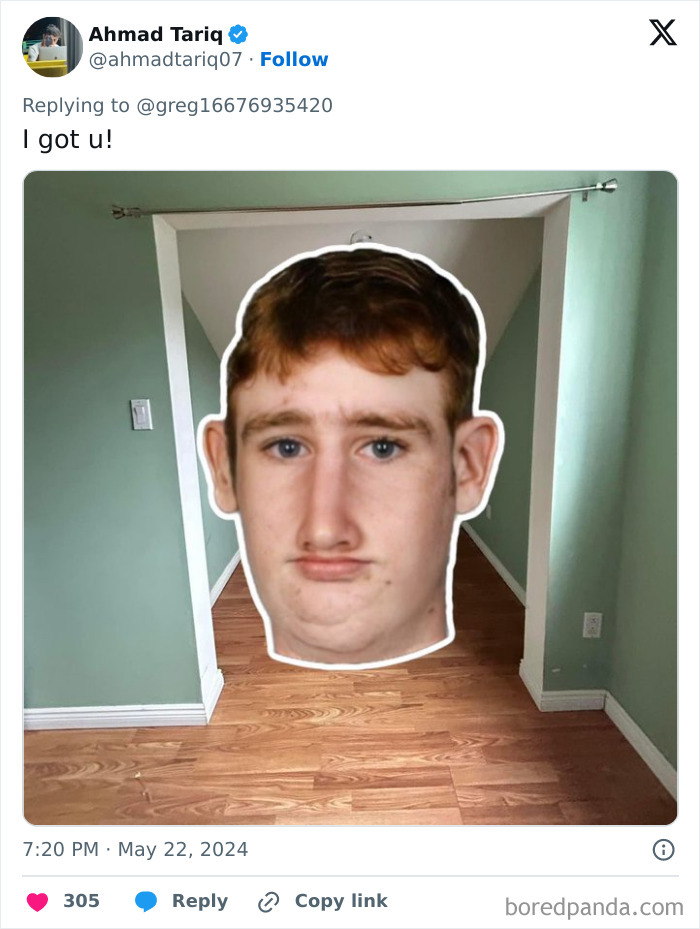 Guy-Asked-Funny-Interior-Design-Ideas