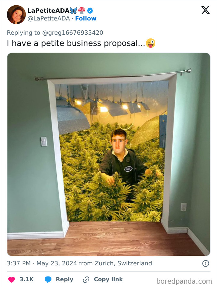 Guy-Asked-Funny-Interior-Design-Ideas