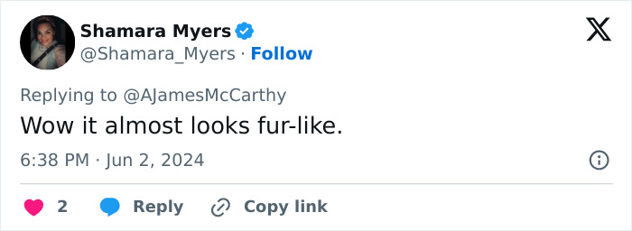 Andrew McCarthy Captured Highly Detailed Views Of The Sunspot From His Backyard In Arizona Andrew McCarthy Captured Highly Detailed Views Of The Sunspot From His Backyard In Arizona