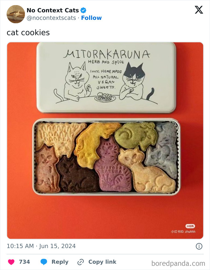 No-Context-Cats-Pictures