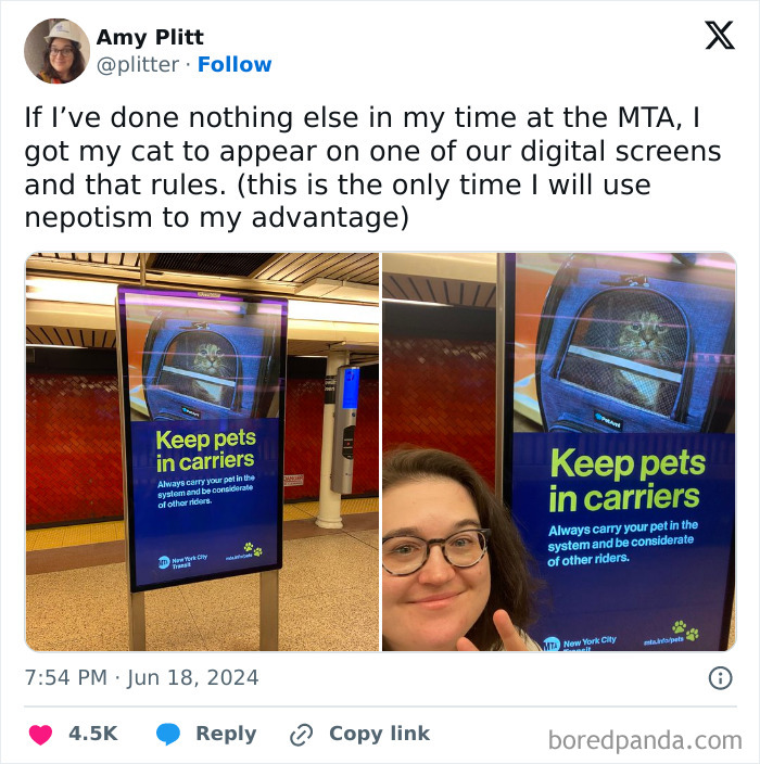 Cats-Dogs-Tweets