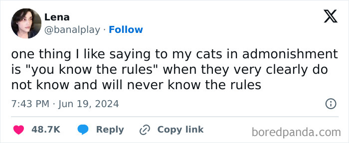 Cats-Dogs-Tweets