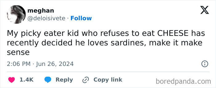 Funny-Parenting-Tweets-June-2024