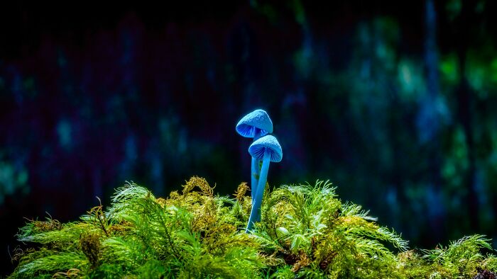 "Sky Blue" By Robyn Finlayson