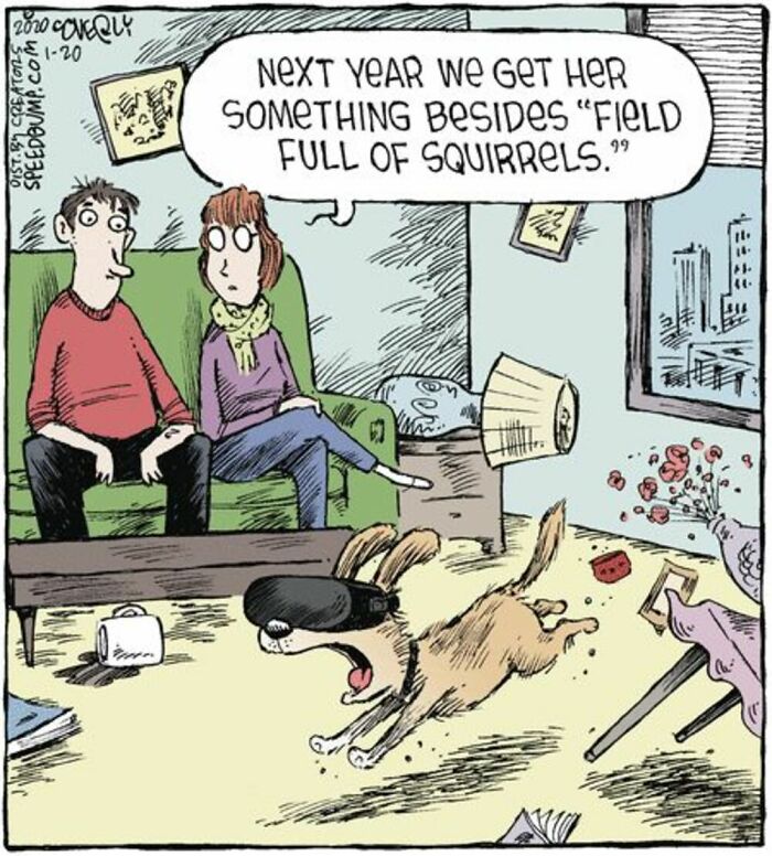 Comic panel from Dave Coverly’s Speed Bump showing a dog with a VR headset causing chaos inside a messy living room.